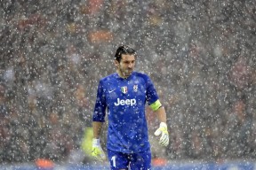 江苏体彩网|米奇谈文班亚马，犀利不足实为成长良机，学习时刻铸就未来之星