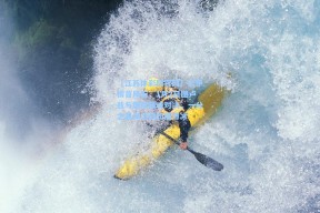 【江苏体彩网官网】法甲榜首风云，1月2日图卢兹与朗斯巅峰对决，一分之差保卫战如履薄冰