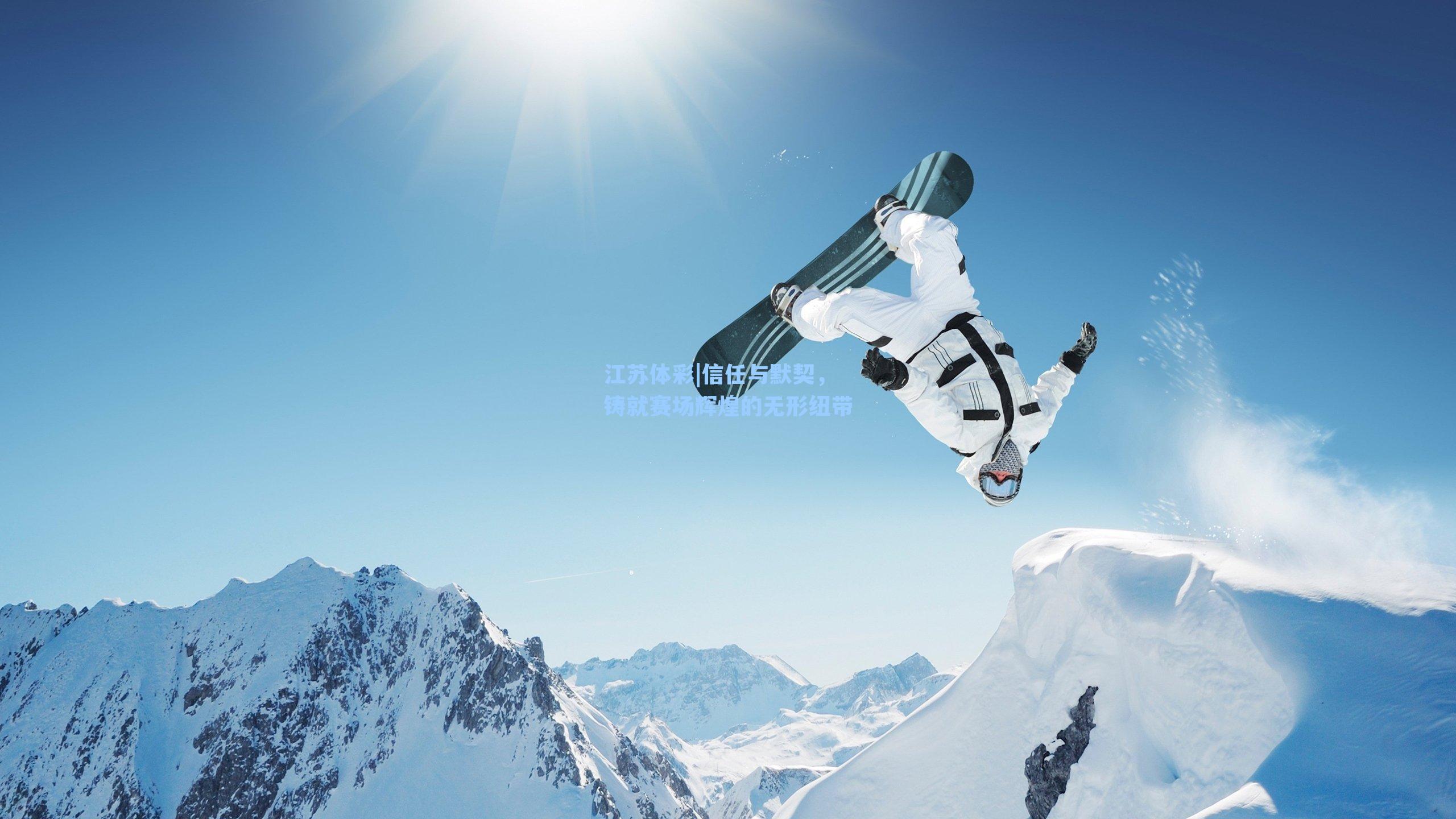 信任与默契，铸就赛场辉煌的无形纽带